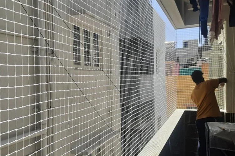 Pigeon Protection Net