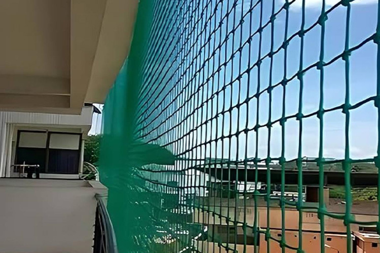 Bird Spikes